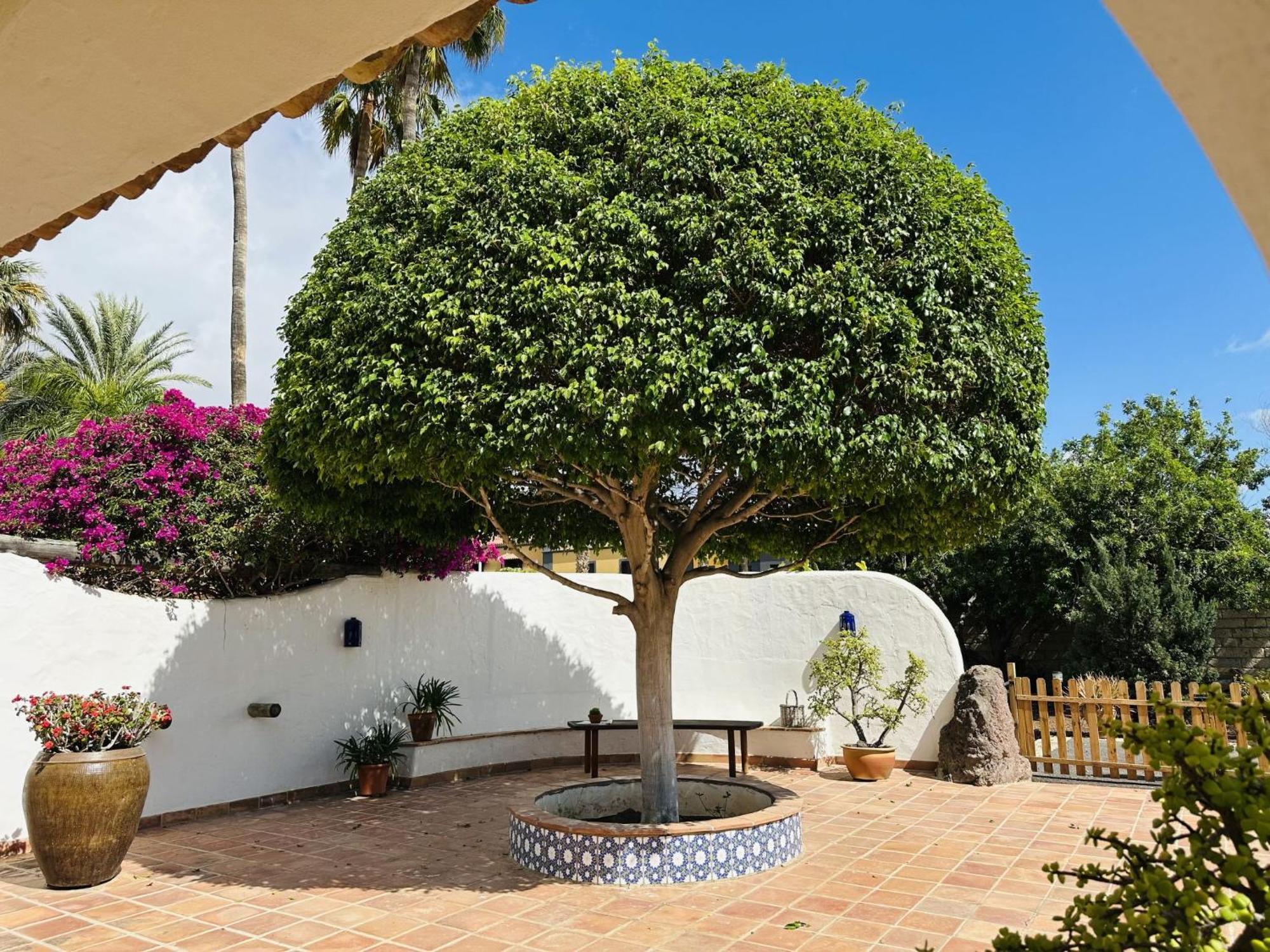 Villa Finca Ingala By Interhome Costa Adeje  ภายนอก รูปภาพ